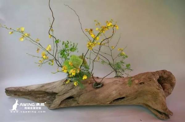 澳威全屋定制：花道|邂逅花之毕加索2016-12-28 11:47:09