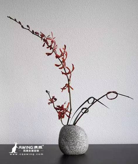 重庆澳威全屋定制：插画