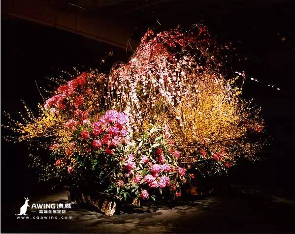 重庆澳威全屋定制：红花