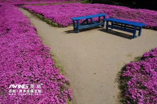 澳威全屋定制：陪伴，是*长情的告白4