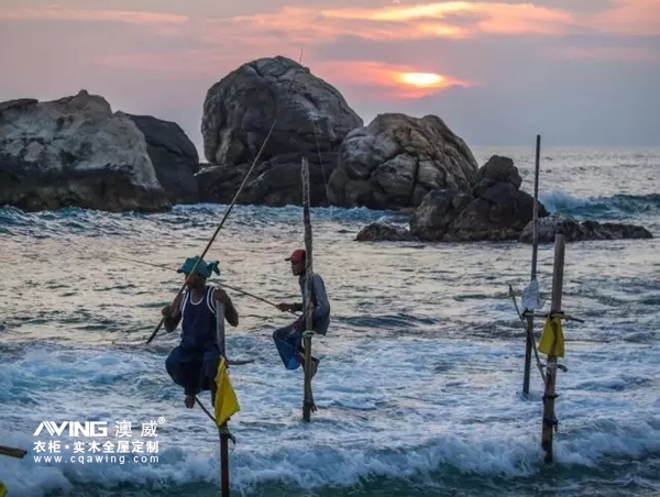 澳威全屋定制：斯里兰卡旅游4