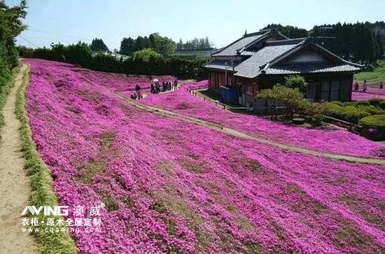 澳威全屋定制：陪伴，是*长情的告白5