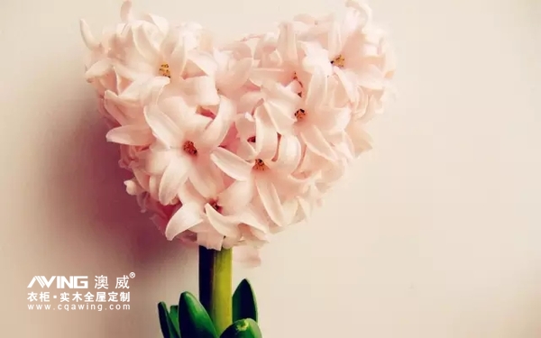 澳威全屋定制：我理想中的家，一定要有这样一个角落2016-08-22 13:48:28