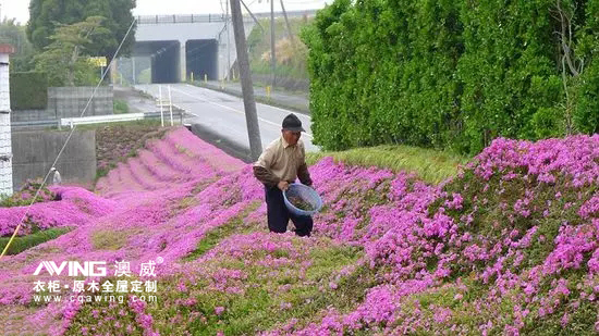 澳威全屋定制：陪伴，是*长情的告白6