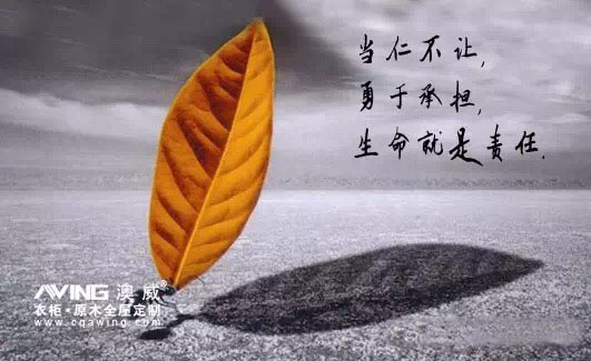 澳威全屋定制：团队的责任1