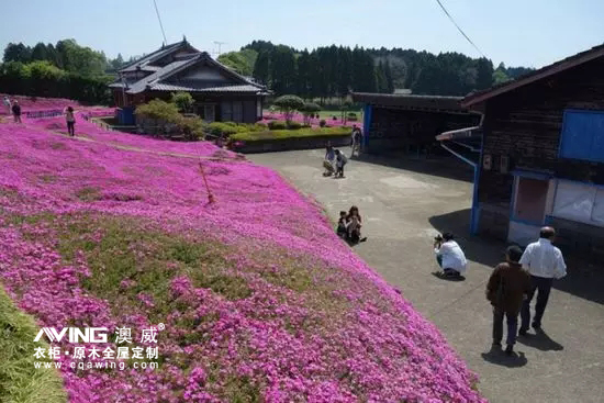 澳威全屋定制：陪伴，是*长情的告白8