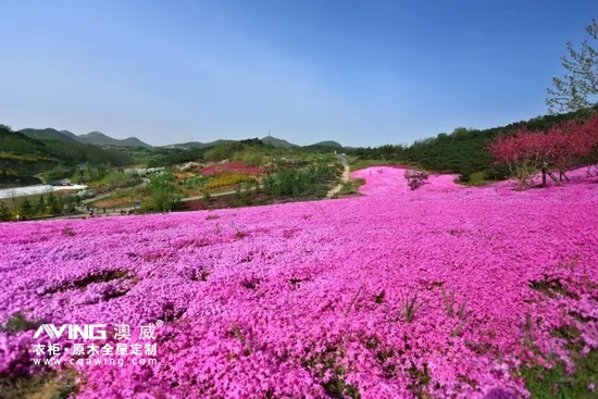 澳威全屋定制：陪伴，是*长情的告白9